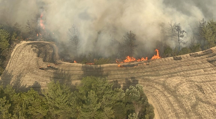 Adana'nın İmamoğlu Ilçesinde Orman Yangını Çıktı 1