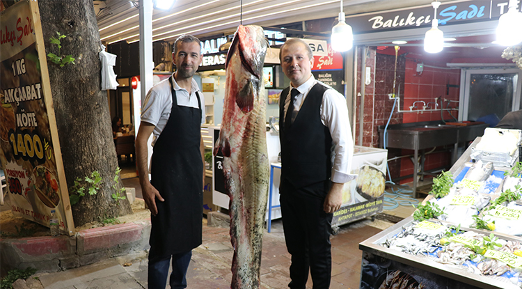 Amasya'da 2 Metre 20 Santimetre Uzunluğunda Yayın Balığı Yakalandı 1