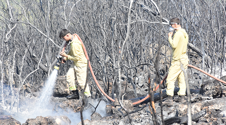 Antalya’da Orman Yakınında Çıkan Yangın Kontrol Altında 2