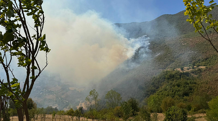 Bartın'da Ormanlık Alanda Çıkan Yangına Müdahale Ediliyor 1