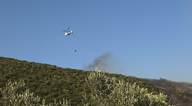 Bursa Orhangazi’deki Orman Yangını Kontrol Altına Alındı-1