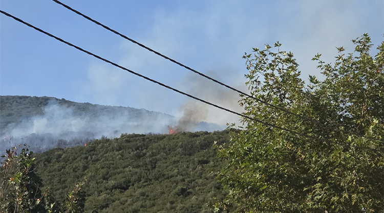 Bursa Orhangazi’deki Orman Yangını Kontrol Altına Alındı