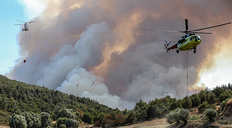 Bursa'nın Yenişehir Ilçesinde Orman Yangını Çıktı Müdahale Sürüyor 1