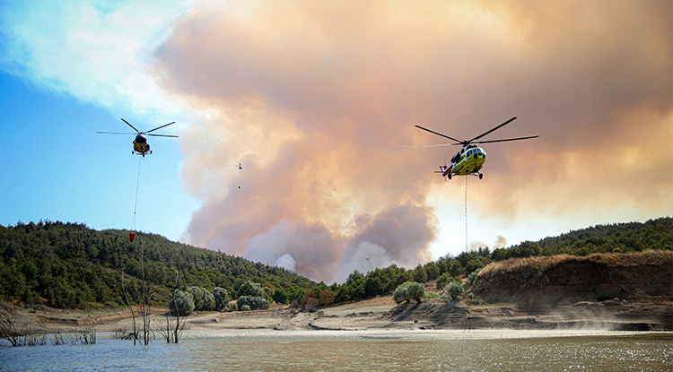 Bursa'nın Yenişehir Ilçesinde Orman Yangını Çıktı Müdahale Sürüyor 2