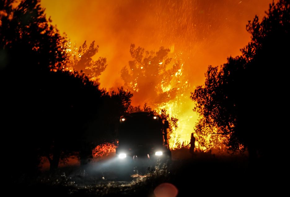 Çanakkale Bayramiç Orman Yangını