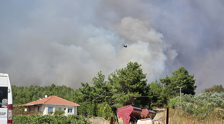Çanakkale Gelibolu'da Çıkan Yangına Müdahale Ediliyor 1