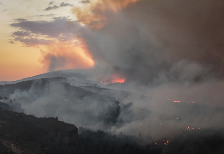 Çanakkale Gelibolu'da Orman Yangınıyla Mücadele Aralıksız Sürüyor1