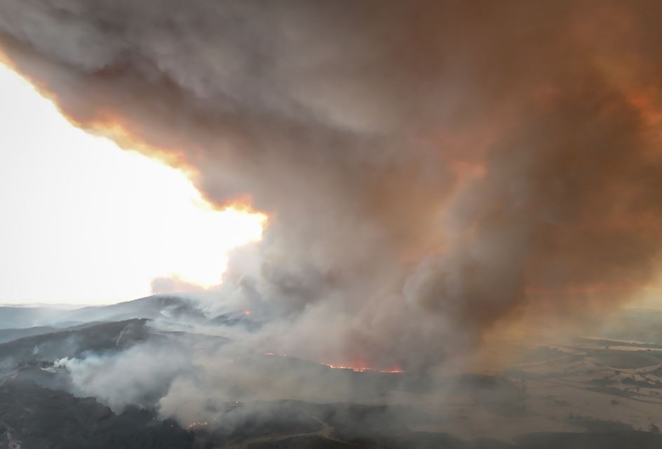 Çanakkale Gelibolu'da Orman Yangınıyla Mücadele Aralıksız Sürüyor3