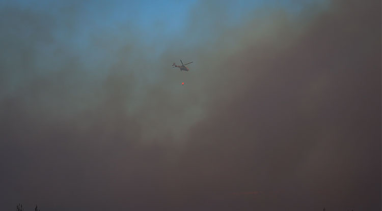 Çanakkale’de Çıkan Orman Yangınına Müdahale Sürüyor 2