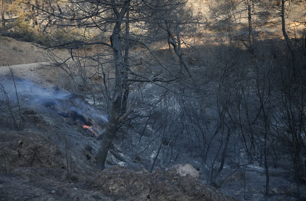 Çanakkale'deki Yangın Büyük Oranda Kontrol Altında1