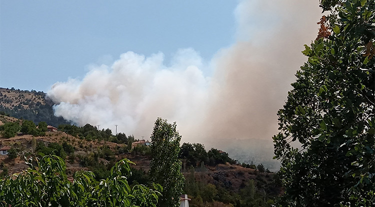 Çorum'da Ormanlık Alanda Yangın Çıktı 1