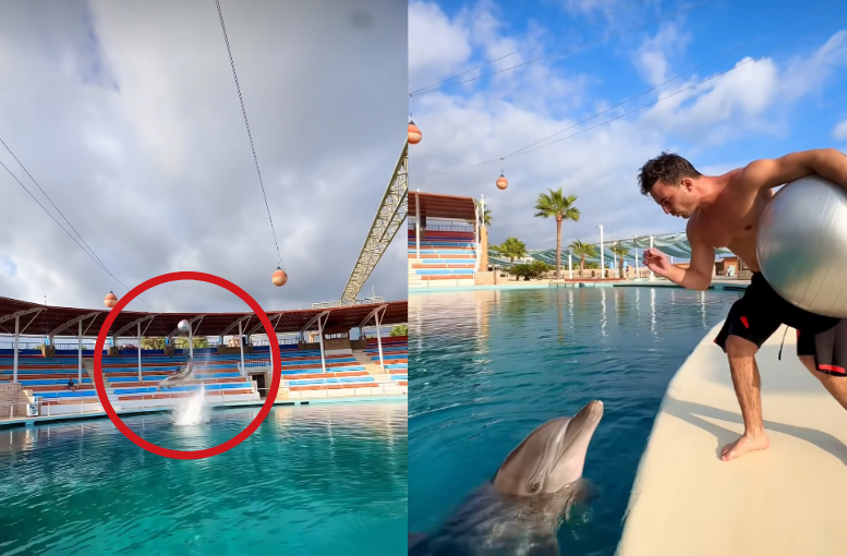 Deli Mi Ne’den Yunus Ile Rövaşata Şovu1