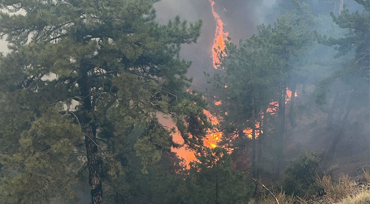 Denizli'de Çıkan Orman Yangınına Müdahale Sürüyor 2