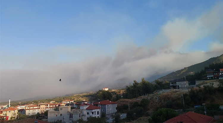 Denizli'de Çıkan Orman Yangınına Müdahale Sürüyor