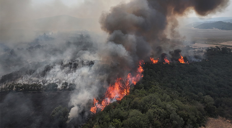 Gelibolu’daki Yangınla Ilgili Ekiplerin Çalışmaları Sürüyor
