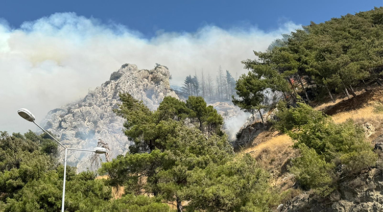 Hatay Antakya'da Orman Yangını Çıktı 1
