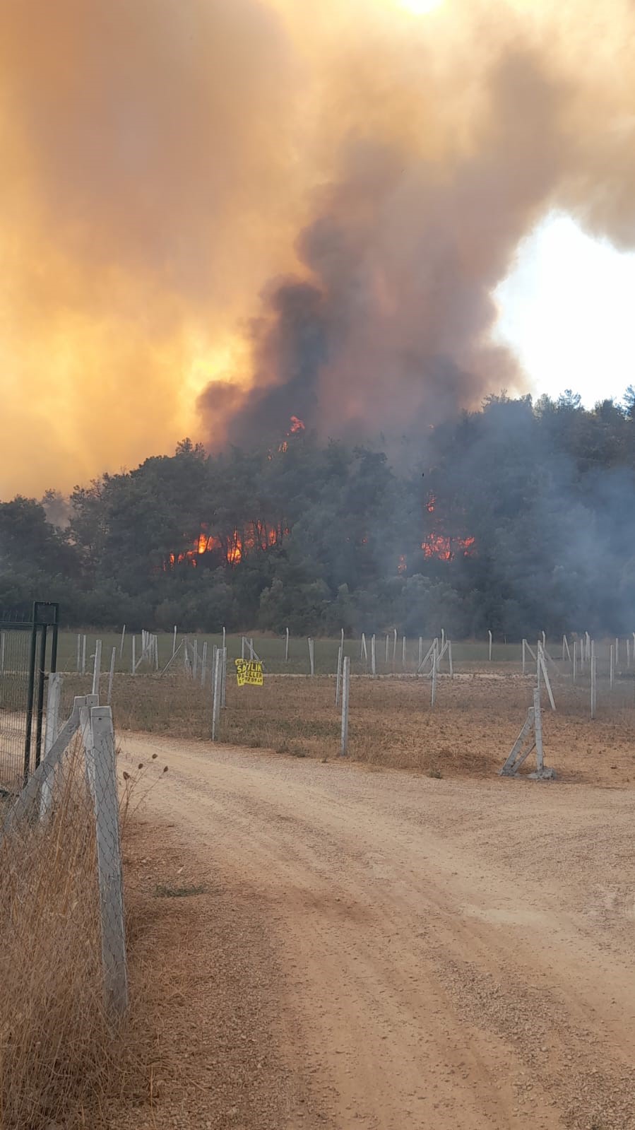 Izmir Menderes Yangın