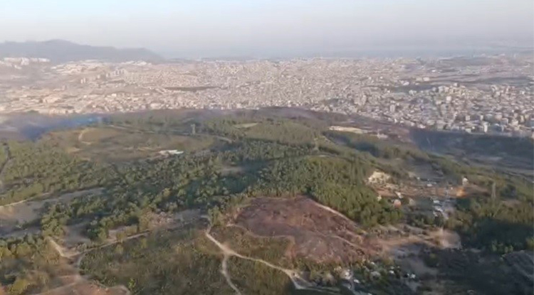 İzmir’deki Orman Yangınına Müdahale Sürüyor
