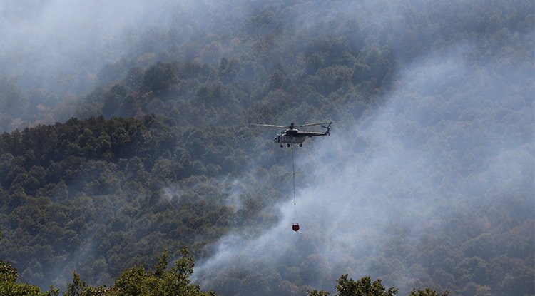 Kocaeli'deki Orman Yangını Büyük Oranda Kontrol Altına Alındı