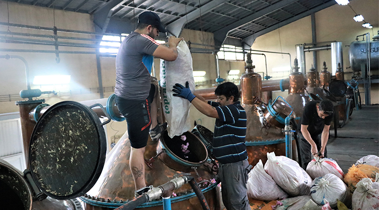 Müftüzade Gülcü İsmail Efendi’den Bugüne Gülün Serüveni 4
