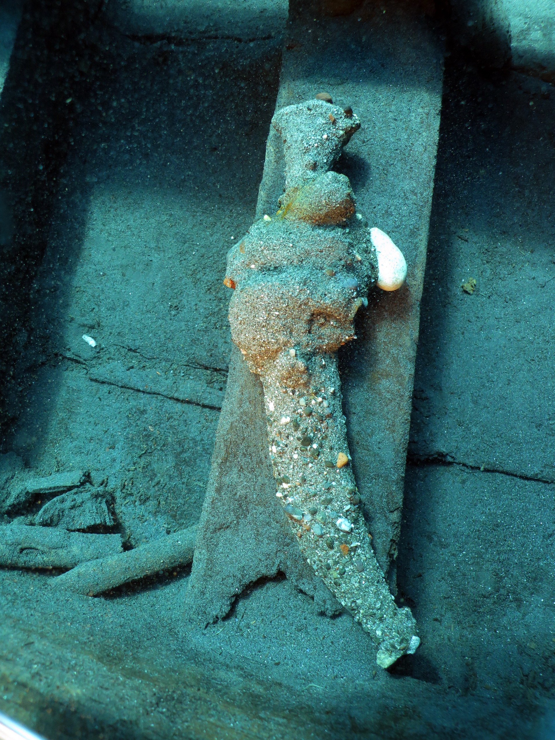 Osmanlı’nın Kayıp Gemisi Akdeniz’de Bulundu2