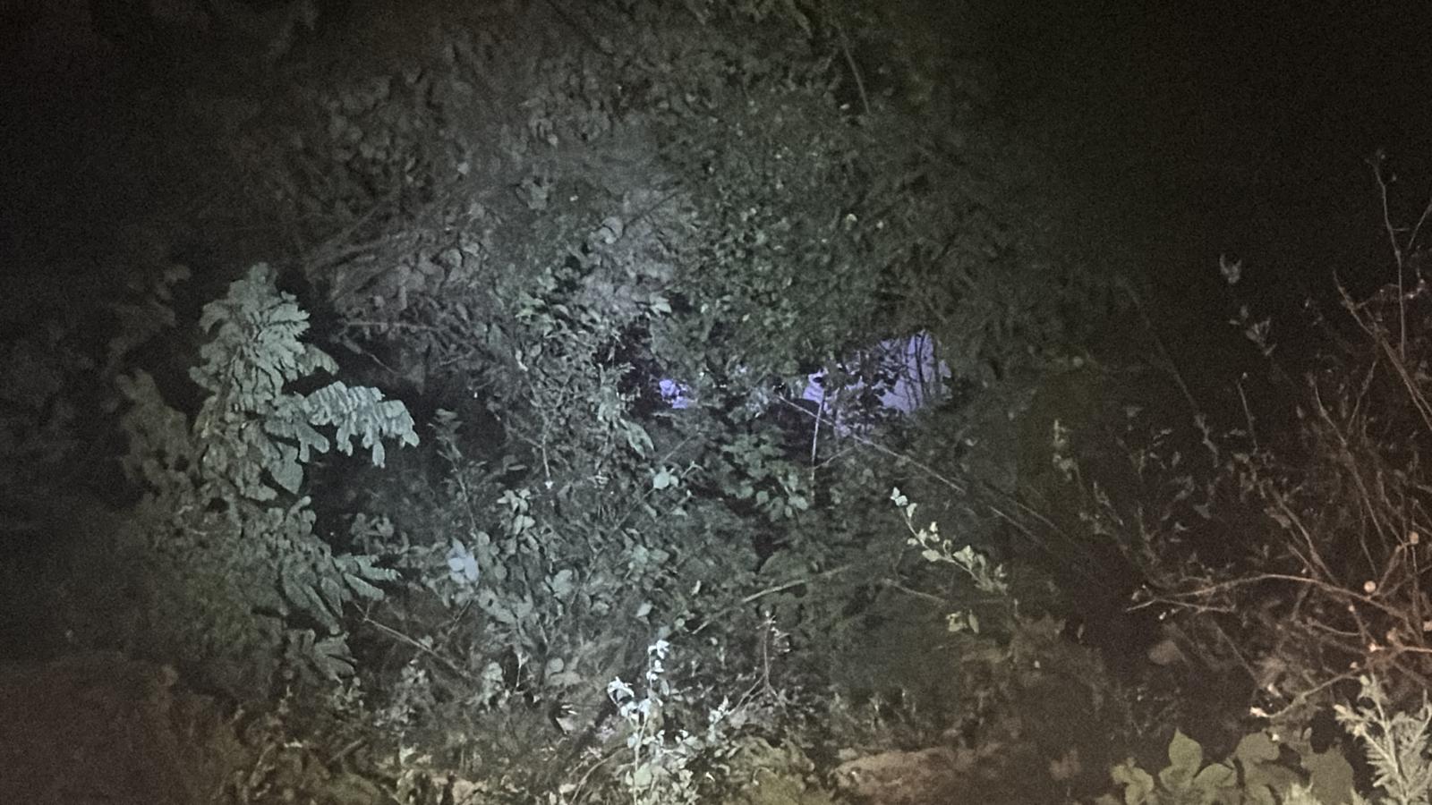 Park Halindeyken Hareket Eden Kamyonet Uçuruma Yuvarlandı1