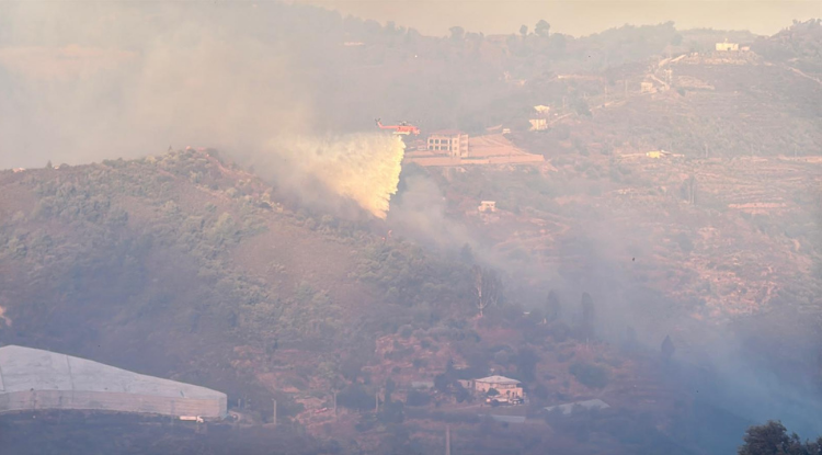 Antalyanın Alanya Ilçesindeki Orman Yangınına Müdahale Sürüyor1