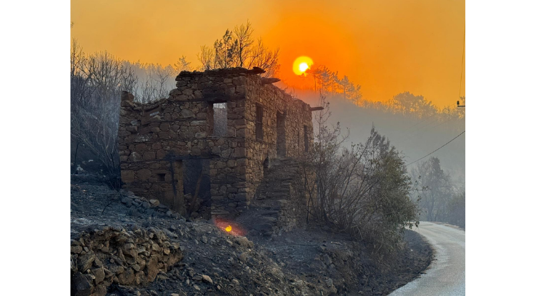 Antalyanın Alanya Ilçesindeki Orman Yangınına Müdahale Sürüyor2