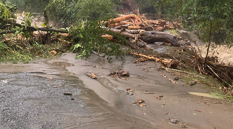 Artvin'de Etkili Olan Sağanak Yağış, Sel Ve Heyelanlara Neden Oldu 1