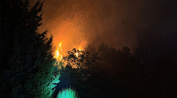 Beykoz'da Ormanlık Alanda Çıkan Yangın Söndürüldü 1