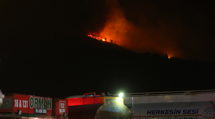 Bursa’daki Orman Yangını Kontrol Altına Alındı 1