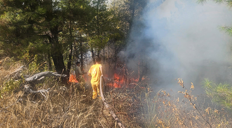 Denizli’nin Buldan Ilçesinde Ormanlık Alanda Yangın Çıktı 2