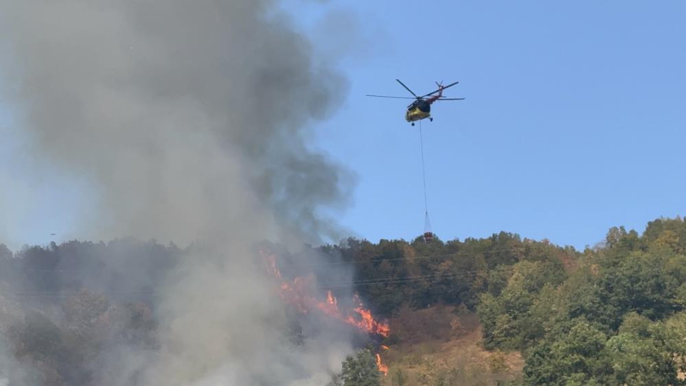Düzce'de Orman Yangını Çıktı1