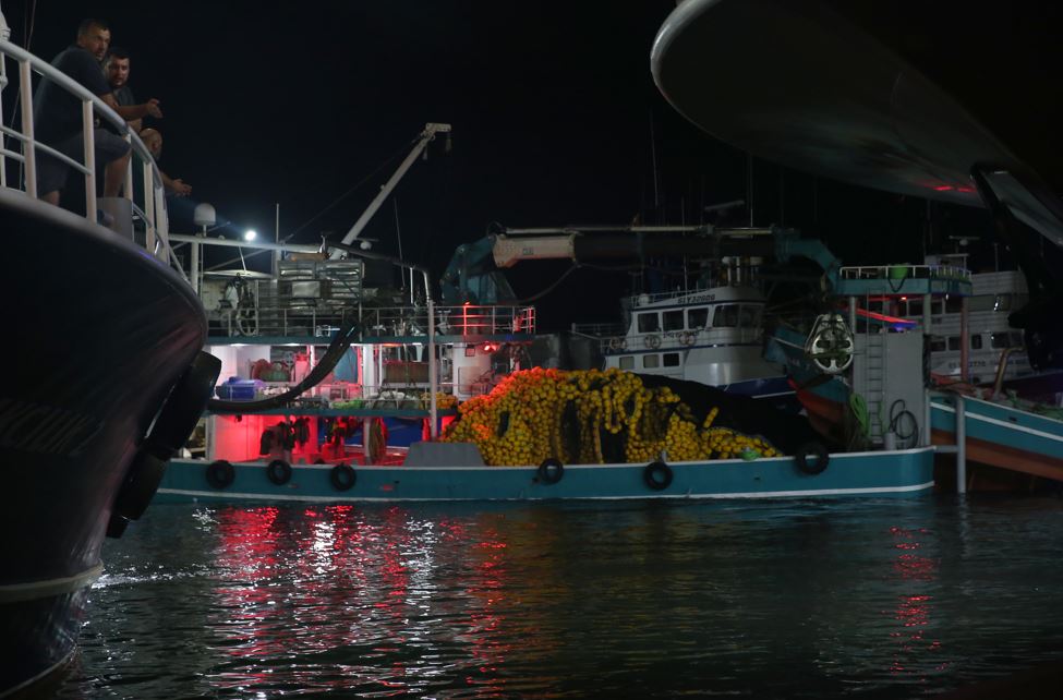 İstanbul'da Balıkçılık Genel Av Sezonu Açılış Töreni Yapıldı2
