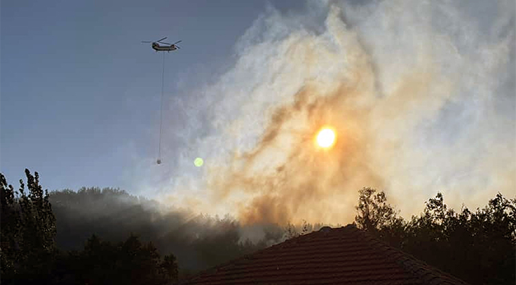 Köyceğiz'de Çıkan Orman Yangınına Müdahale Sürüyor 1