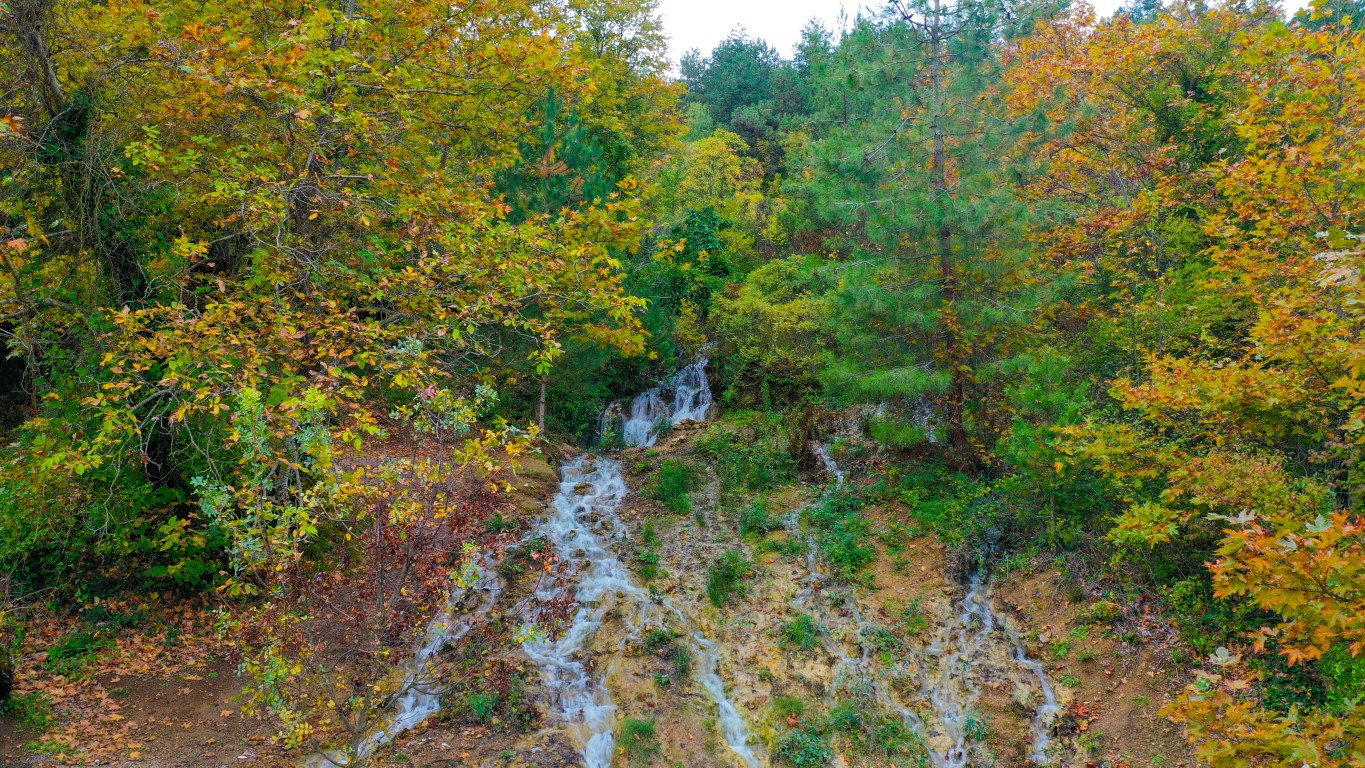 20 Yıl Önce Kurumuştu! Su Kaynağı Depremden Sonra Yeniden Hayat Buldu (3)