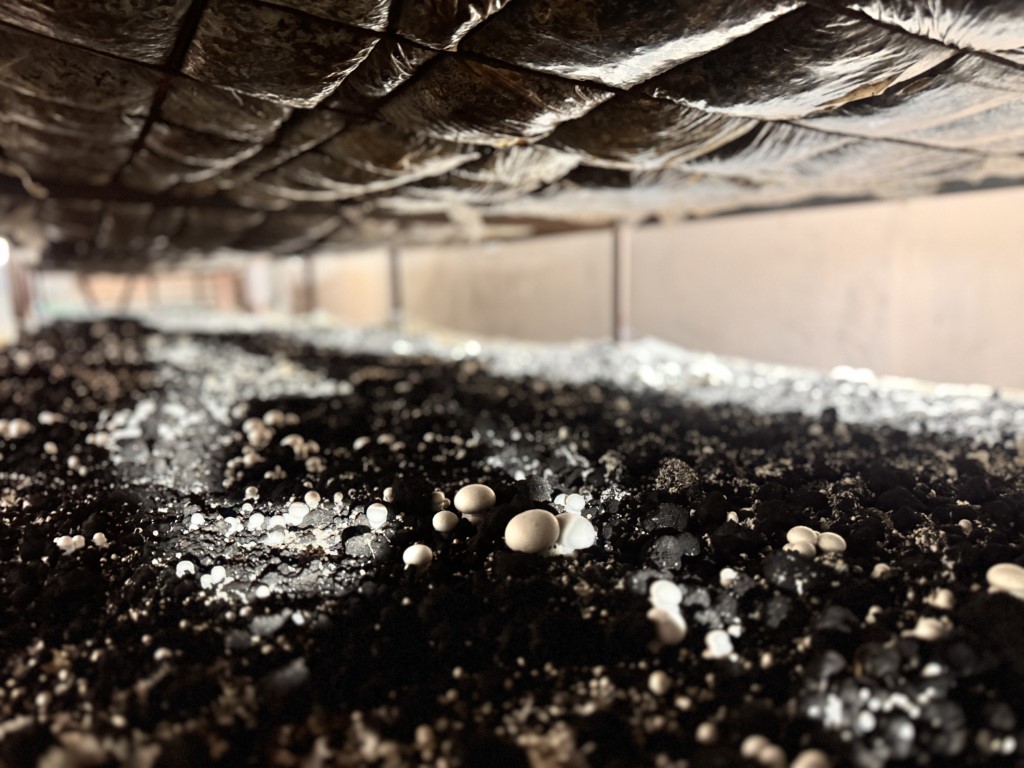 A A 20251015 39417386 39417378 K A D I N G I R I S I M C I D E V L E T D E S T E G I Y L E K U R D U G U T E S I S T E 75 T O N M A N T A R U R E T I Y O R