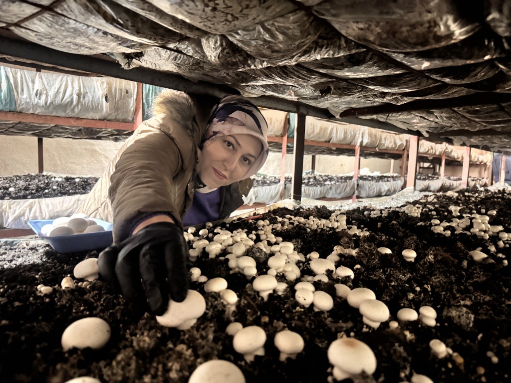 A A 20251015 39417386 39417381 K A D I N G I R I S I M C I D E V L E T D E S T E G I Y L E K U R D U G U T E S I S T E 75 T O N M A N T A R U R E T I Y O R