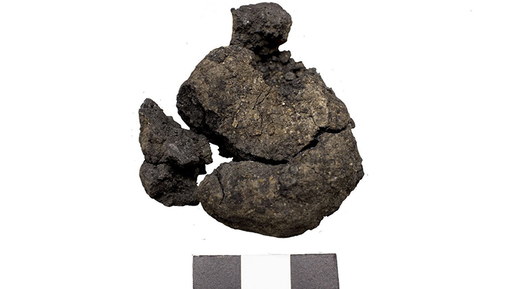 Anadolu’nun Sofra Kültürünü Belgeleyen Yeni Buluntular Ortaya Çıkarıldı 3