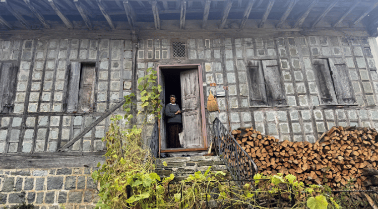 Kestane Ağacından Yapılan Tescilli Evler Arılı Köyüne Ziyaretçi Çekiyor1