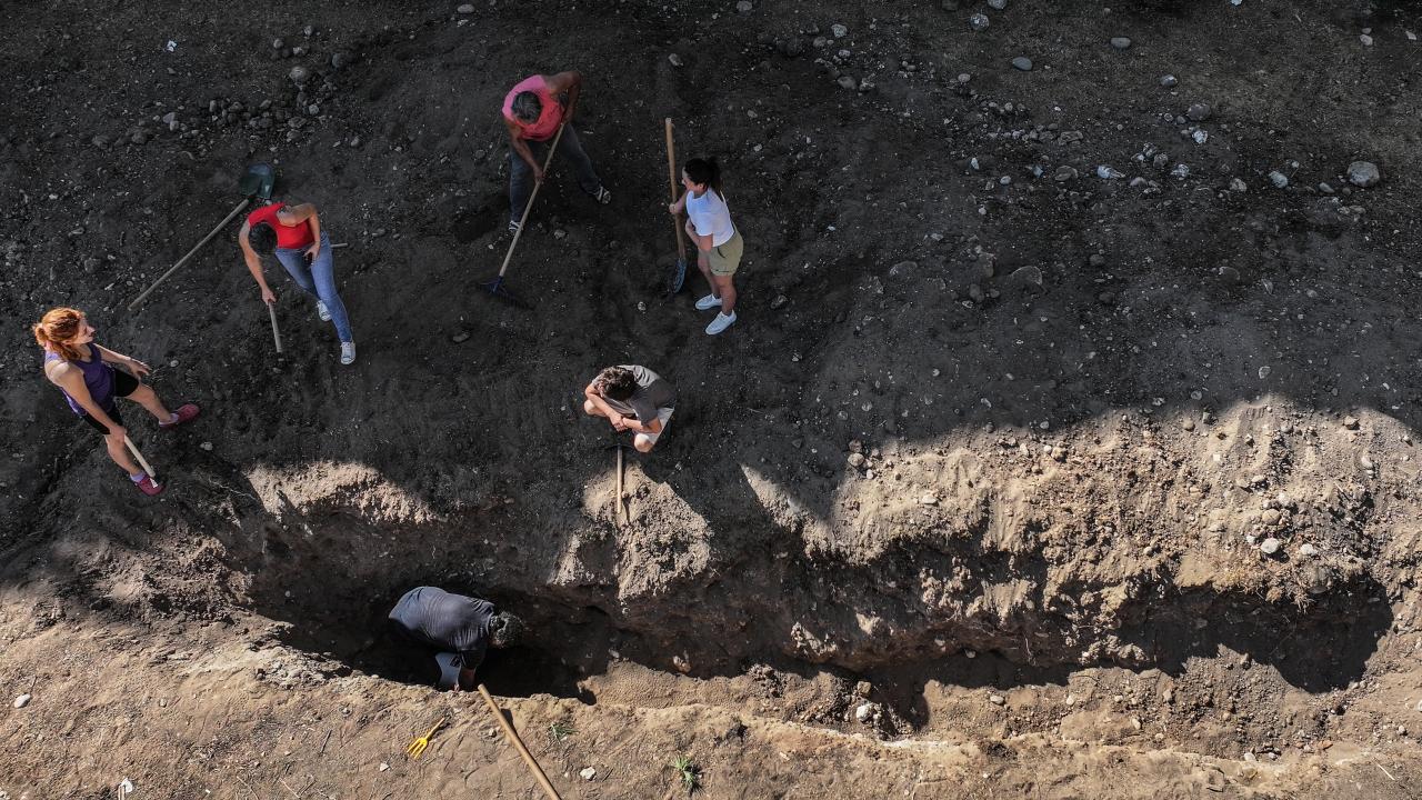 Mersin'de 4 Yıl Önce Toprağa Gömülen Fin Balinasının Iskeleti Çıkarılıyor1