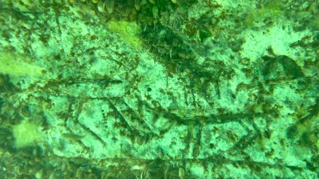 Paleolitik Döneme Ait Olduğu Değerlendirilen Kaya Resimleri Su Altında Görüntülendi