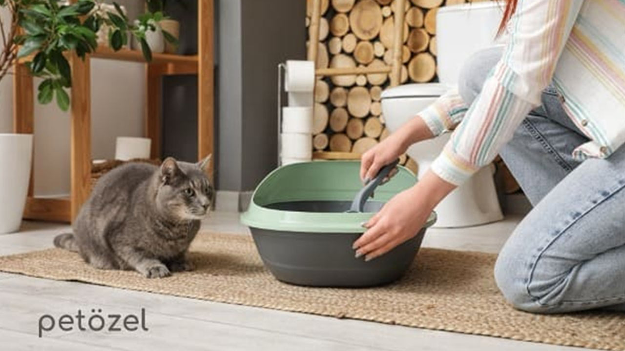 Petözel Ile Evcil Dostlarınızın Sağlığı Ve Mutluluğu Artıyor 4