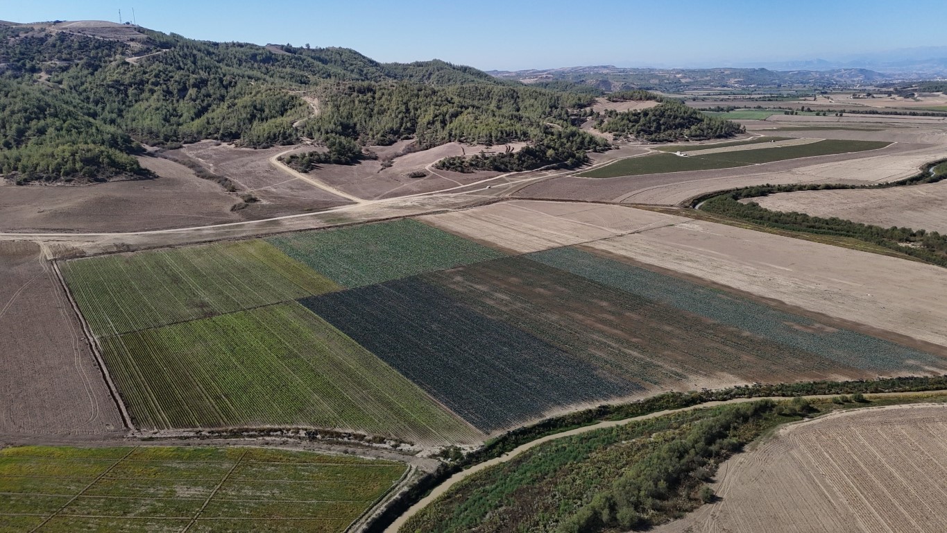 Arım Arazisi Oldu Üretim Başladı (2)