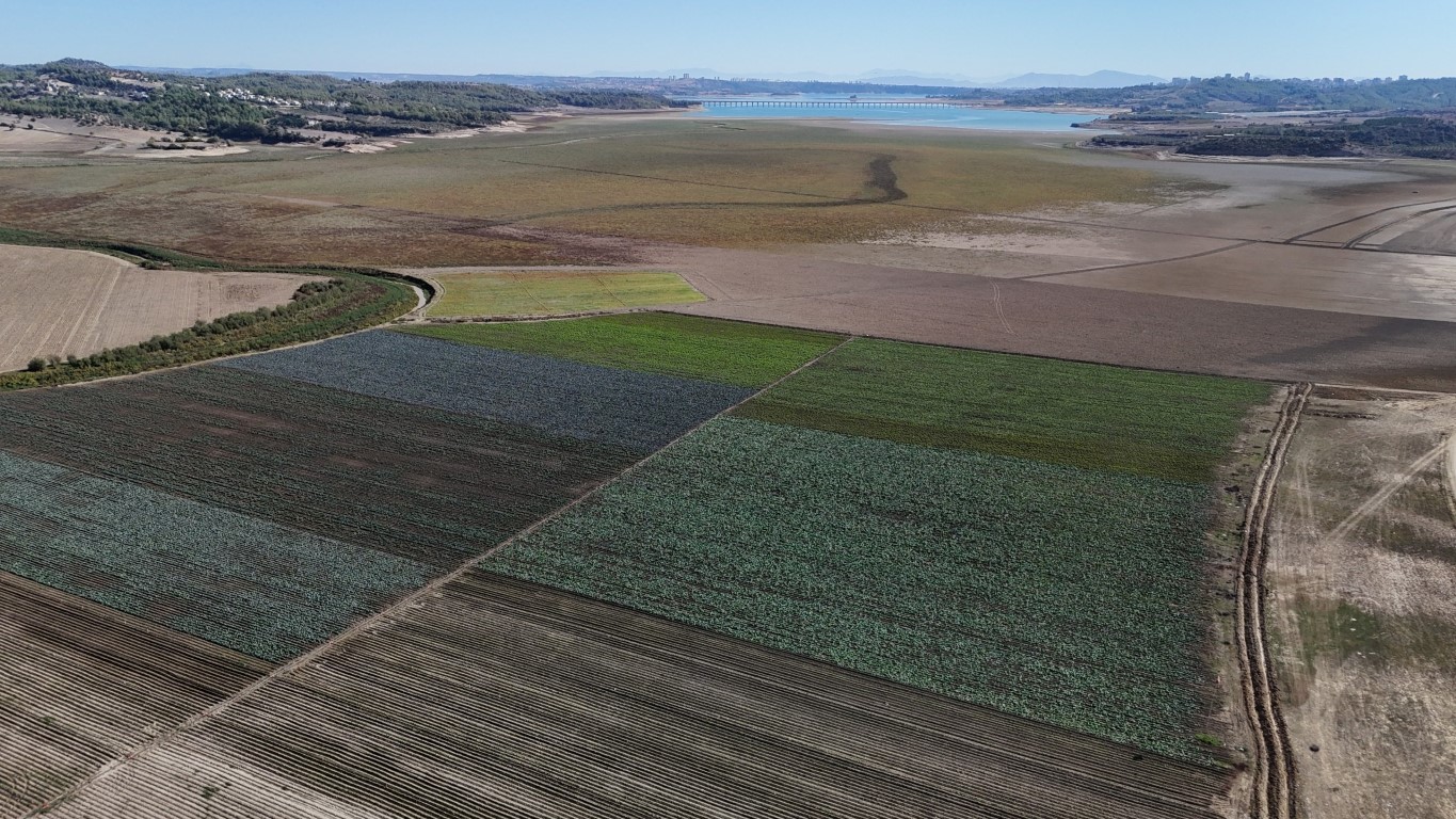 Arım Arazisi Oldu Üretim Başladı (4)