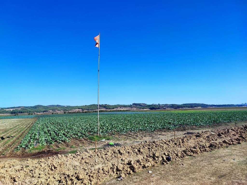 Arım Arazisi Oldu Üretim Başladı (6)
