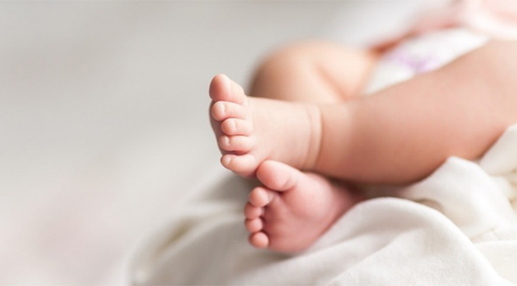 Defne Isminin Anlamı Nedir Defne Ismi Kuran’da Geçiyor Mu, Ne Anlama Geliyor