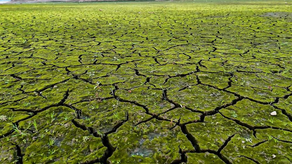 Mega Kentte Kuraklığın Izleri Havadan Görüntülendi1
