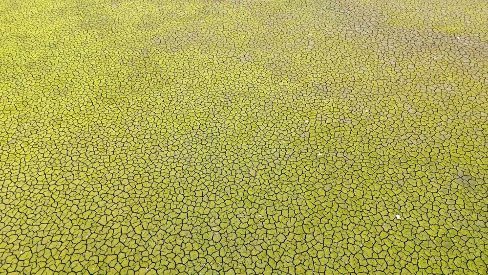 Mega Kentte Kuraklığın Izleri Havadan Görüntülendi3