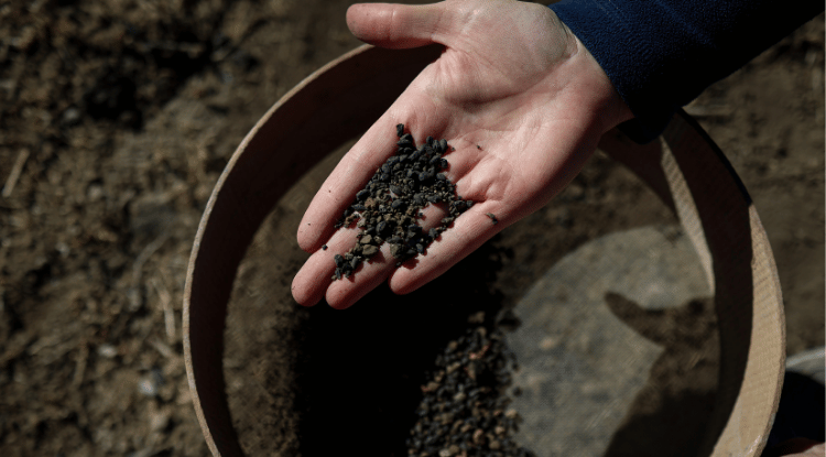 Van'daki 5 Bin Yıllık Karbonlaşmış Arpa Taneleri Bulundu1